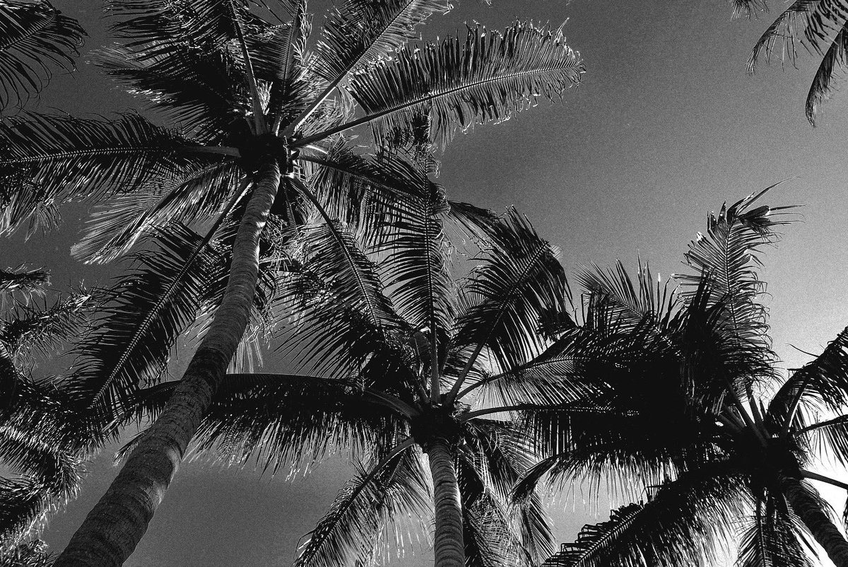 Malicious Maze tweet media