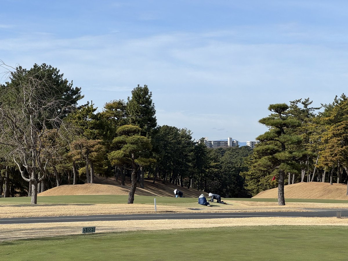 ふきこ tweet media