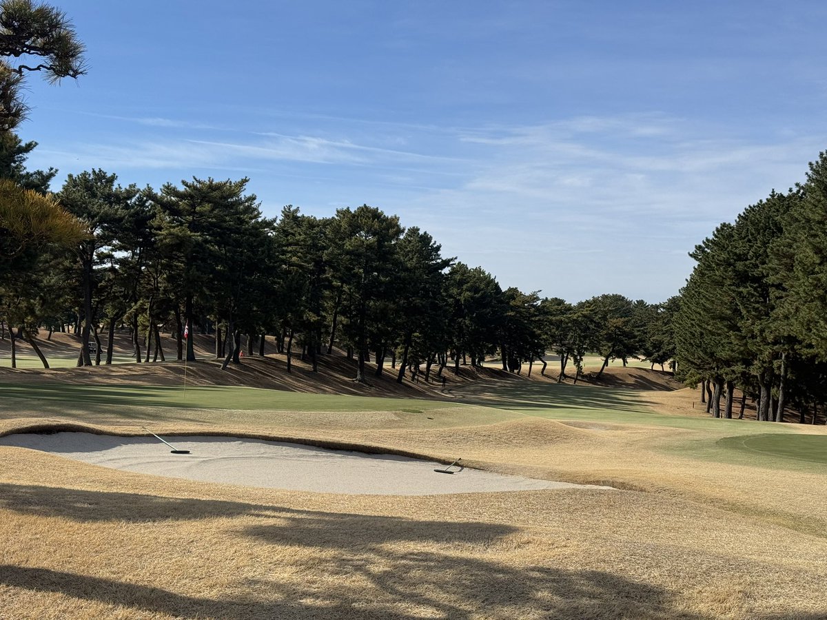 ふきこ tweet media