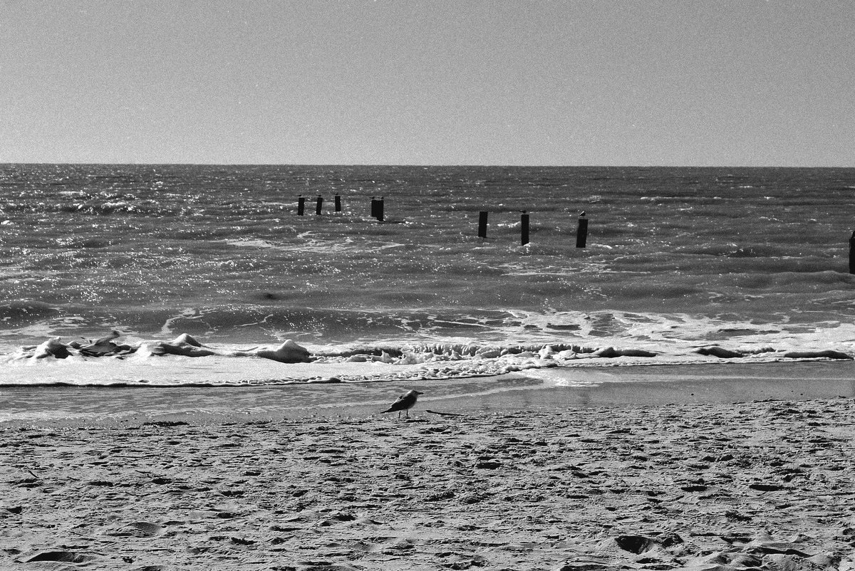 Malicious Maze tweet media