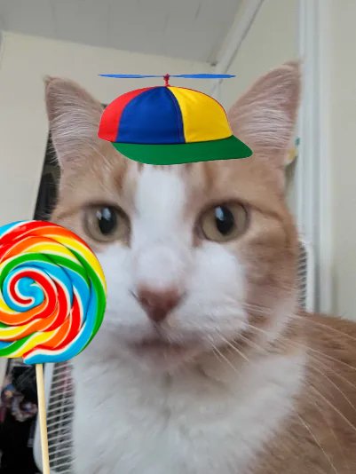 SpicyKiwi🥝 tweet media