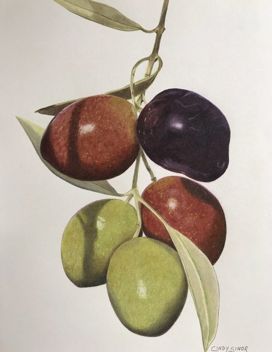 they call me Pencils tweet media