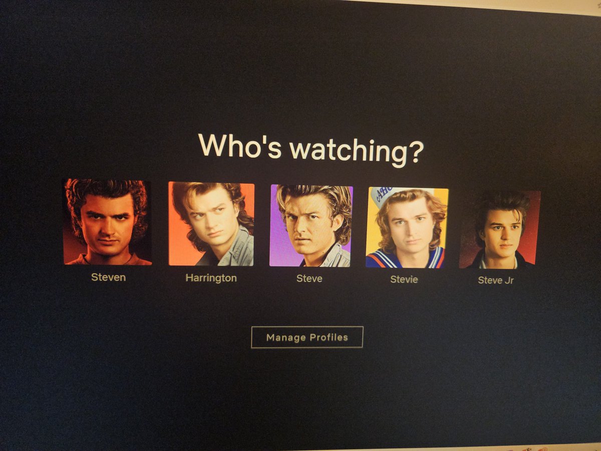 my whole family is a steve on netflix now