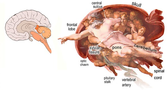 Cartallica tweet media