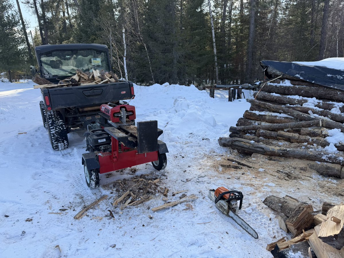 Iron Range Rocks and Cows tweet media