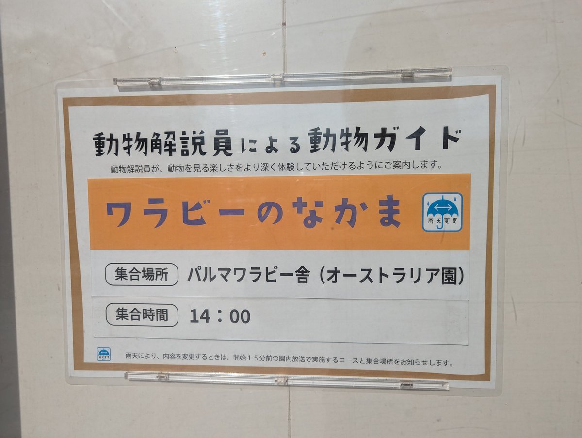 かん (@tamazoowalking) on X