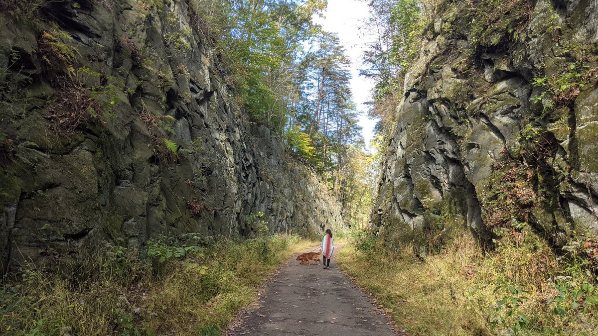 Beige NPC tweet media