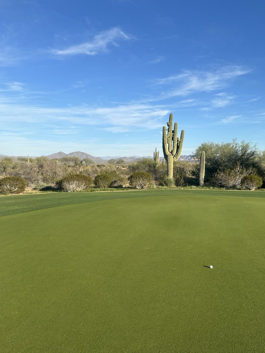 Sahith Theegolfa tweet media