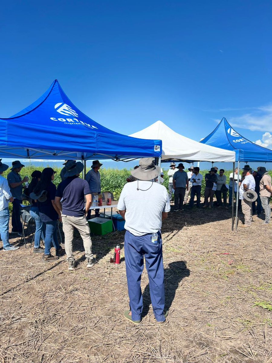 Corteva Argentina tweet media
