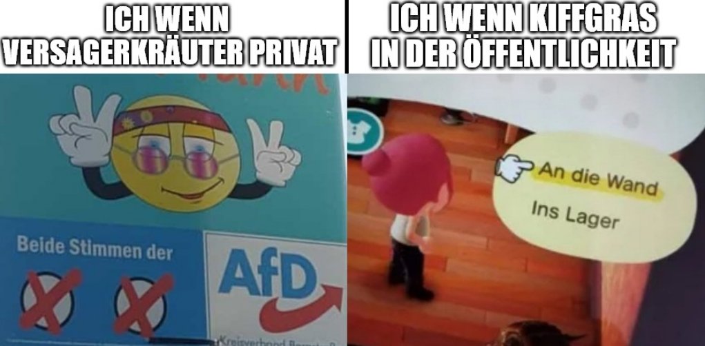 Zertifikatsmaurer Aron Pielka tweet media