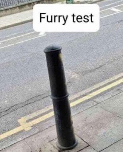 Whitedragoncito tweet media