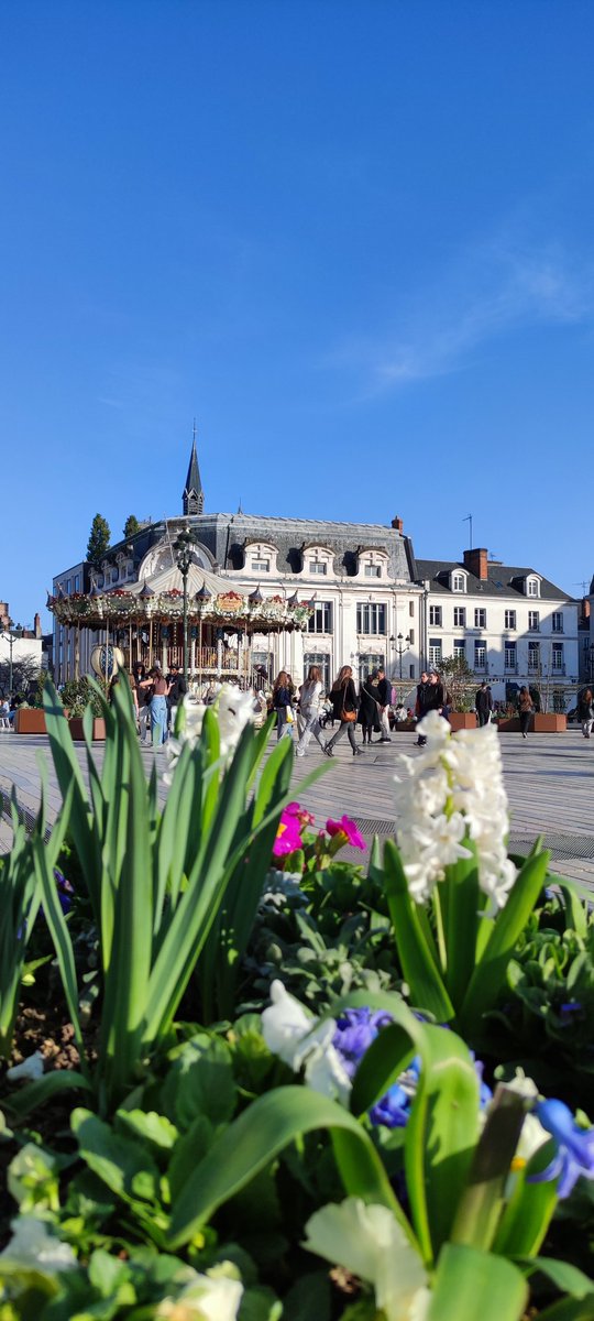 alexandra red tweet media