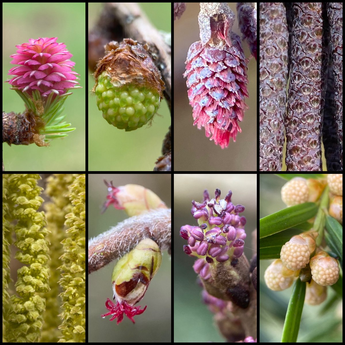 Steve Parsons 💙 tweet media