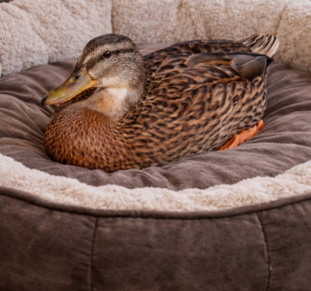 Kate 🏄♀️🌊🤙〓〓 tweet media