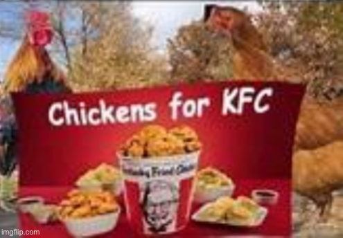 aetu37's tweet image. western armenian defending kurds