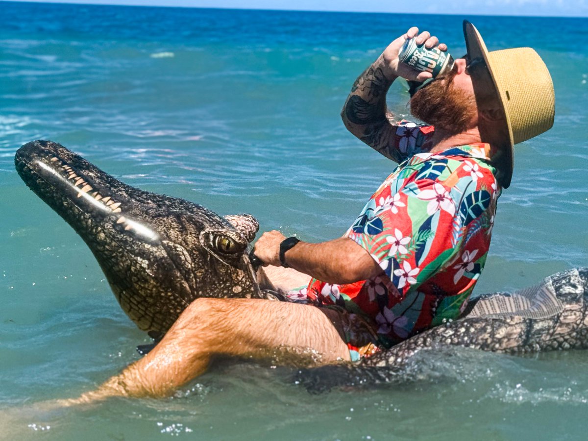 Walking Tree Brewery tweet media