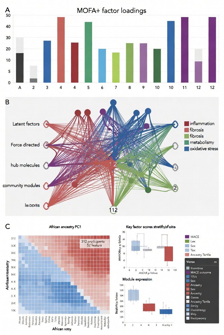 JournalClinTran's tweet photo. 🧬 Bringing precision cardiology to underserved Brazilian communities! #CardioGenomics #PrecisionMedicine #Cardiology #BrazilHealth https://t.co/nhgHhMoV9l