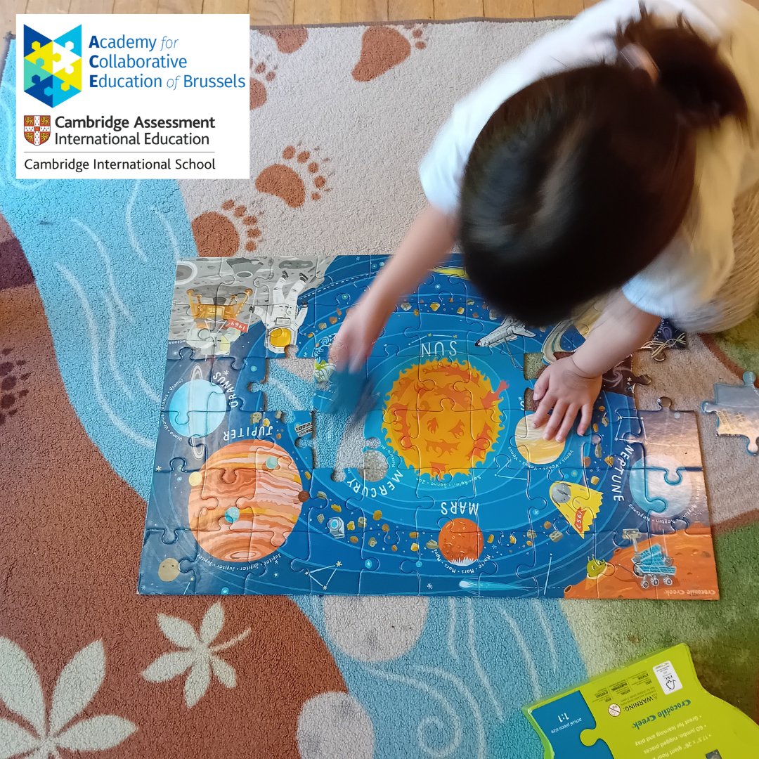 ACE of BRUSSELS INTERNATIONAL SCHOOL tweet media