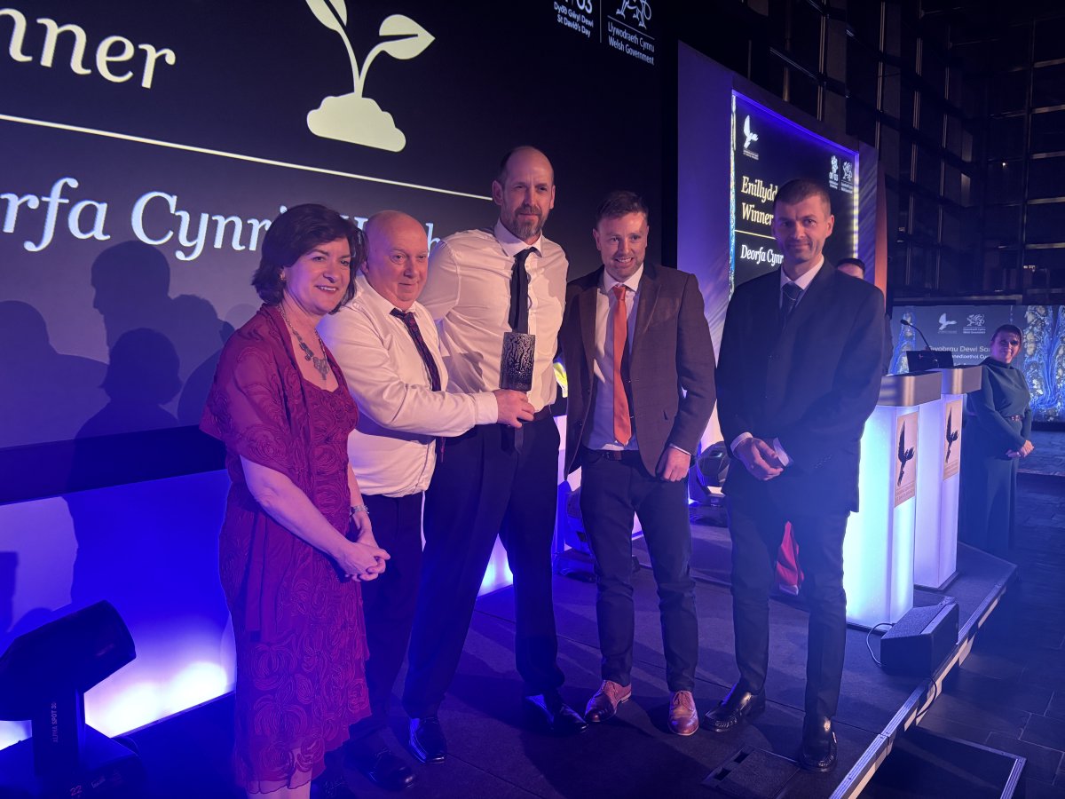 St David Awards tweet media