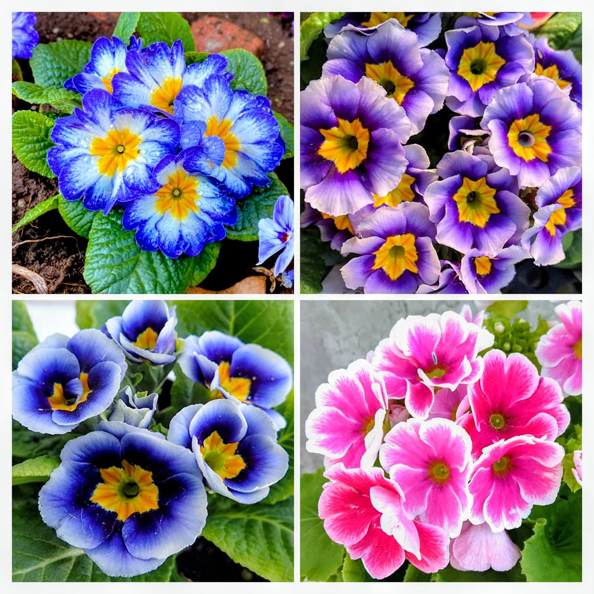 のんちゃんにﾎﾟﾁｯ❤️❤️