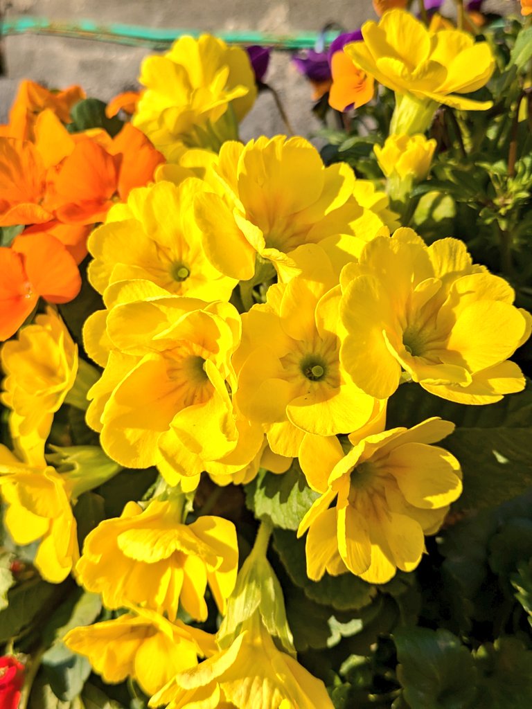 のんちゃんにﾎﾟﾁｯ❤️❤️