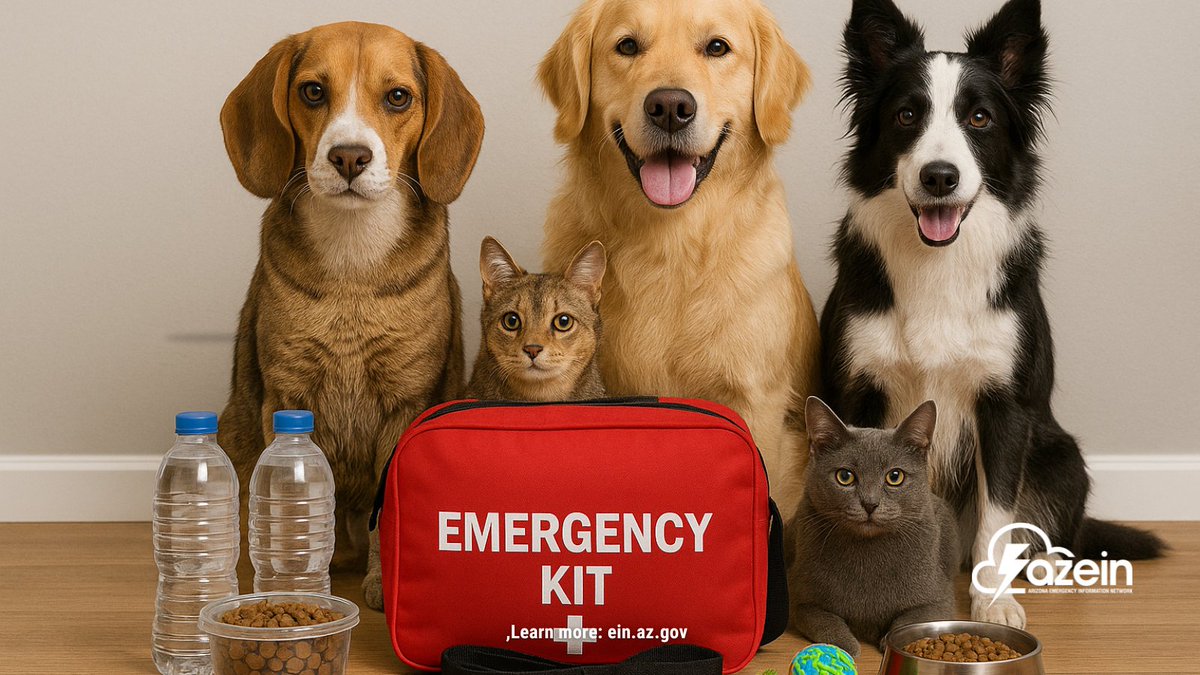 AzEIN 📢 tweet media