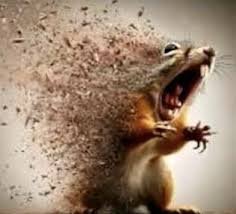 Me anda doliendo mucho el estómago