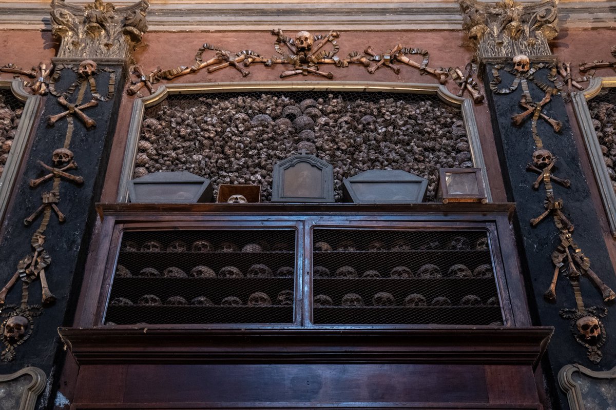 Raphael Barberi📷 tweet media