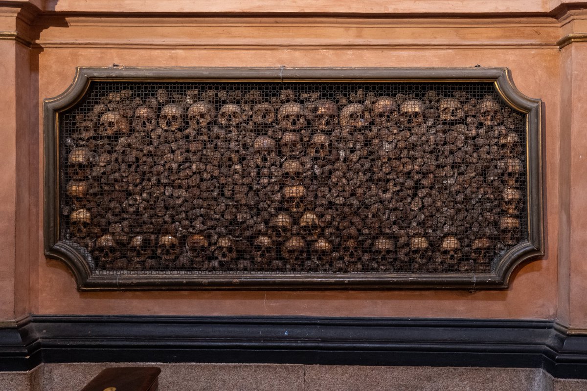 Raphael Barberi📷 tweet media