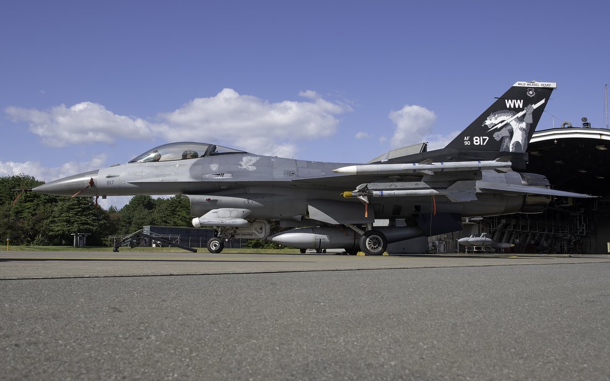 Misawa F-16CJ Wild Weasels from the 35th FW are quite topical