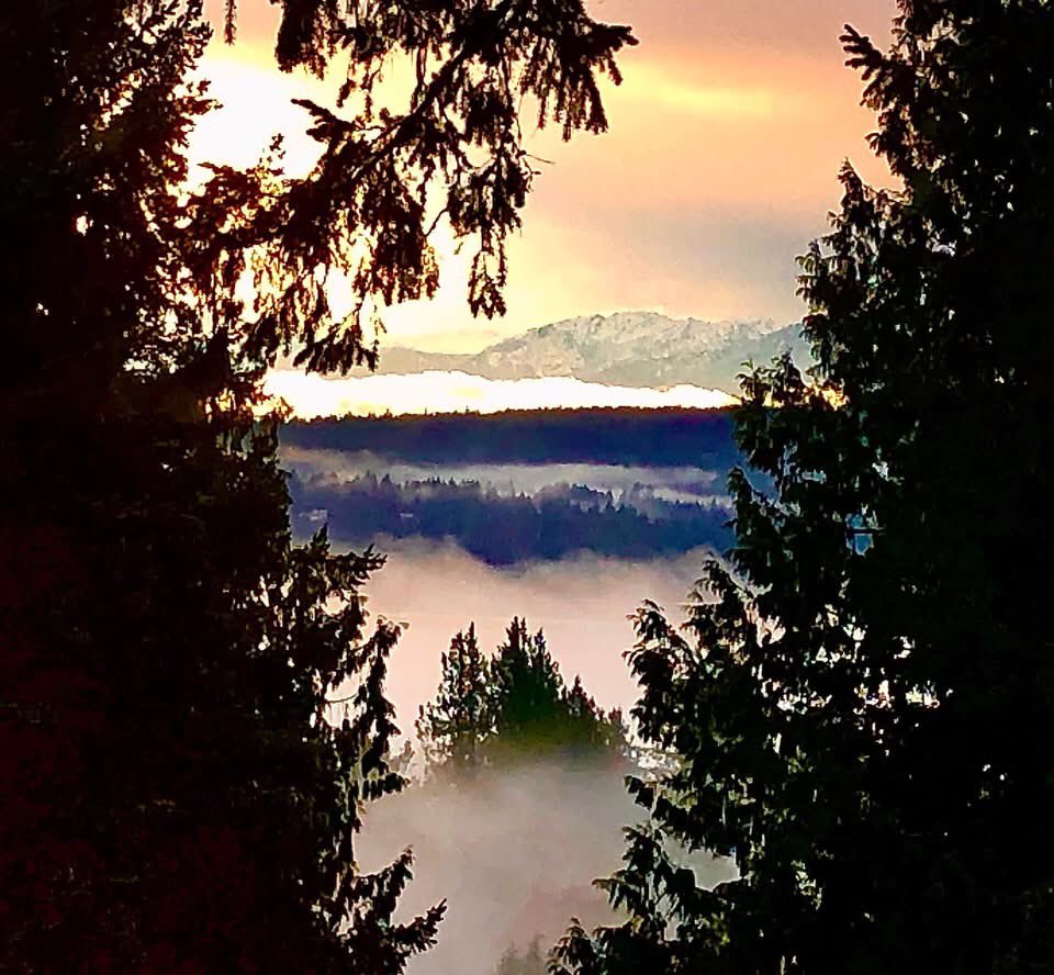 Jim Bottomley tweet media