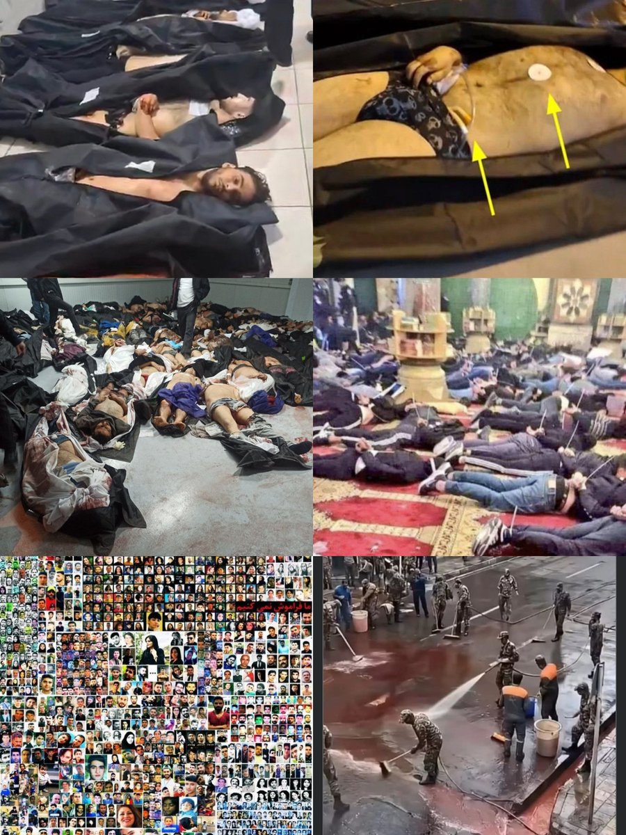 PkFarhad13195's tweet photo. @IsraelPersian یه ارتش مسئول حفظ مردم بی دفاع 
حتی اگر هم این مردم دشمن محسوب شوند،این نشان از شرافت و مردونگی ارتش اسرائیل،خوش بحال مردم غزه که 
از این حمایت برخوردارند و بمیرم برای مردم ایران که در کشور خود بدست مادرجندگان اسلامگرا سپاه،بسیج،افغانی 
حشدالوحشی،حزب شیطان سلاخی شدن https://t.co/cUGbGAxrNU