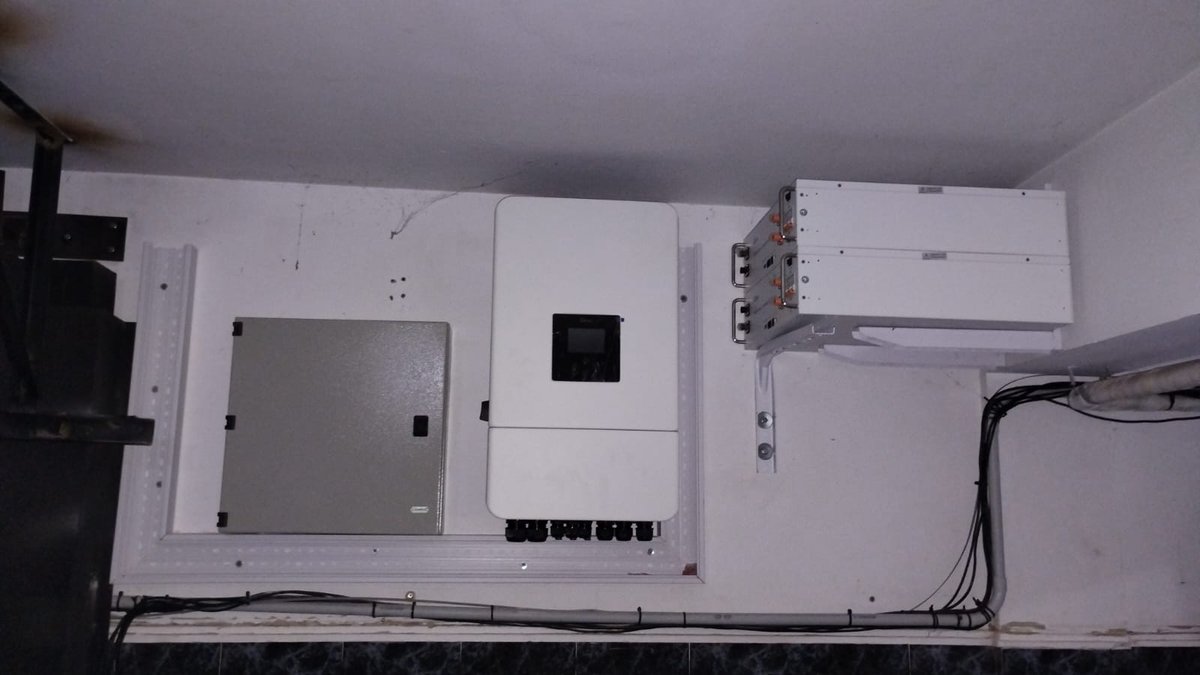 Ariel Mesch tweet media