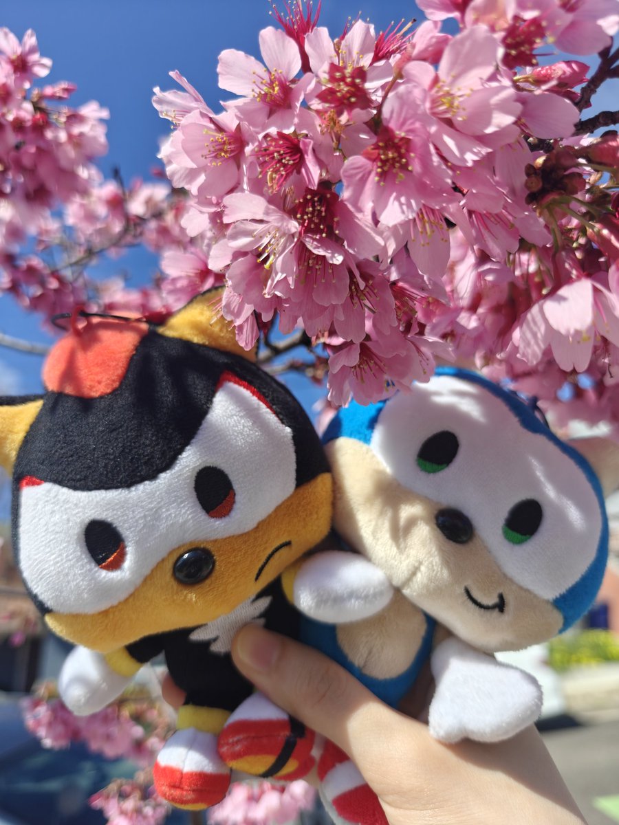 jen🌸🏳️‍🌈 tweet media