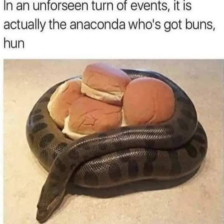 My anaconda don't want none
Unless you've got buns, hun

Oh wait…
