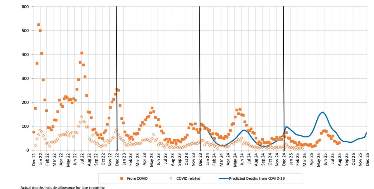 Karen Cutter tweet media