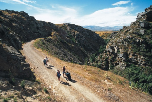 BeachComber tweet media