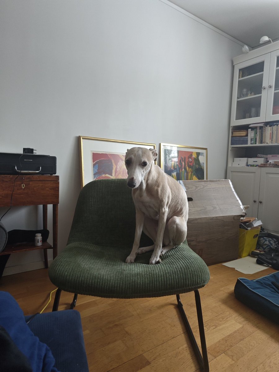 Sájvatje tweet media