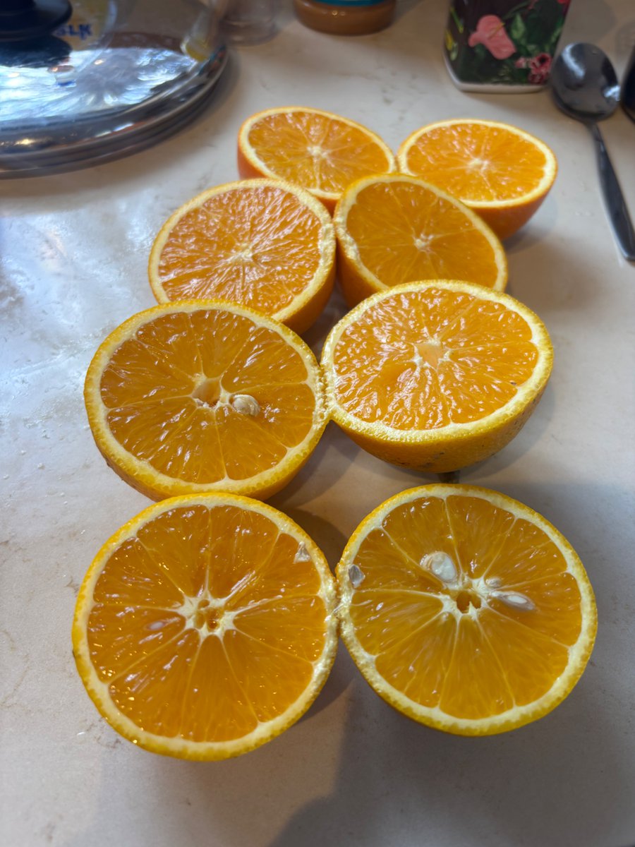 מיכל וואכטל-חלמיש tweet media