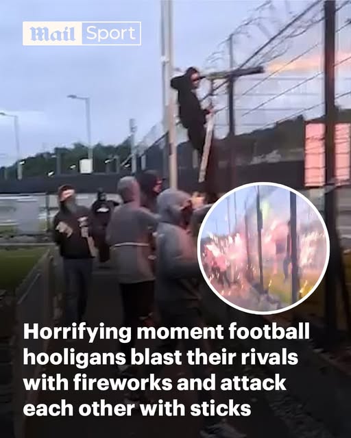 KM2 archive tweet media