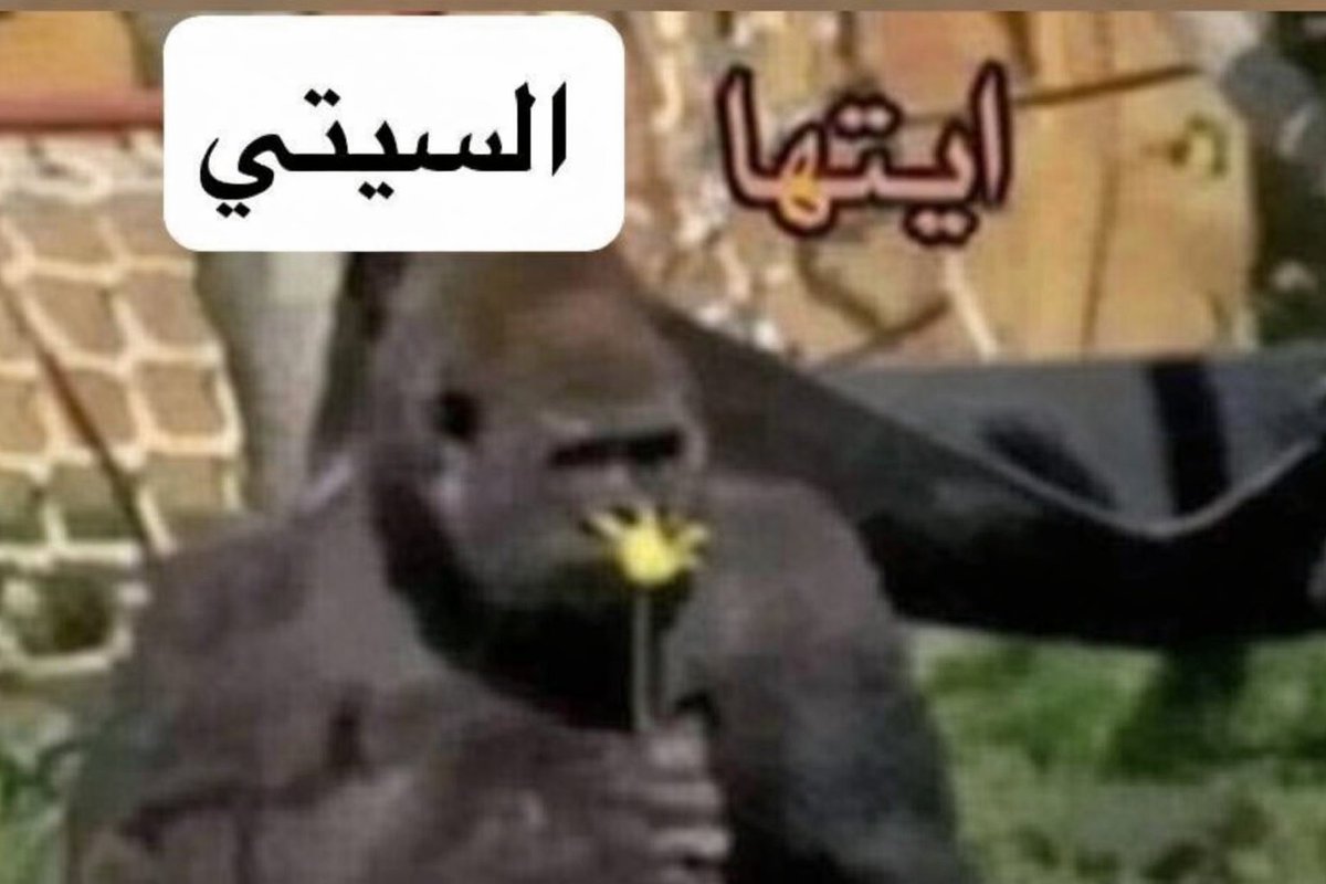 Ahmed tweet media