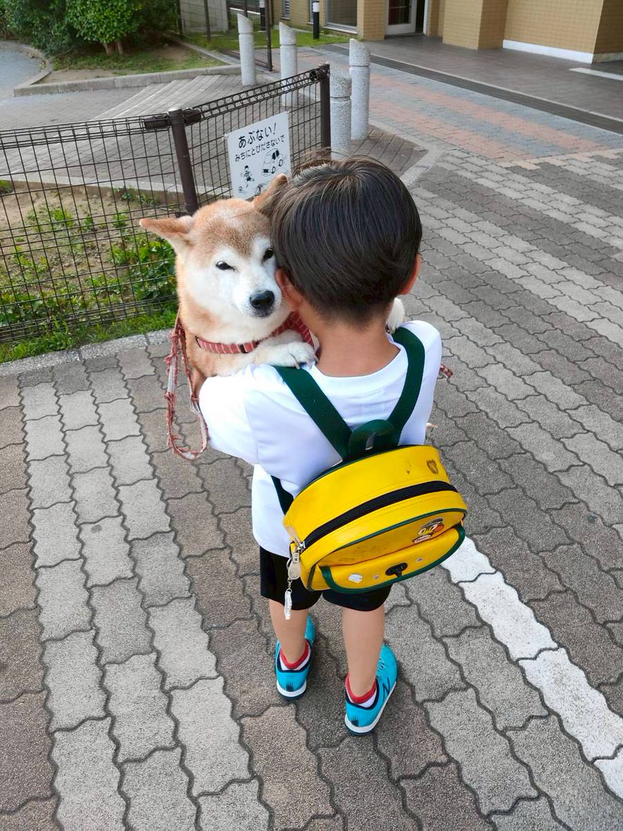 AkAVceDyN4QgGH7's tweet photo. おはようございます☀
保育園のお迎えは毎日チャコお婆ちゃんも行きました🤭🐶🌈
#柴犬チャコ #ぼくのいぬはどうしてこんなにかわいいのか #君とずっともっとギュッと #秘密結社老犬倶楽部天国支部 #ロウケンズ応援団 https://t.co/R7dKyayLVC