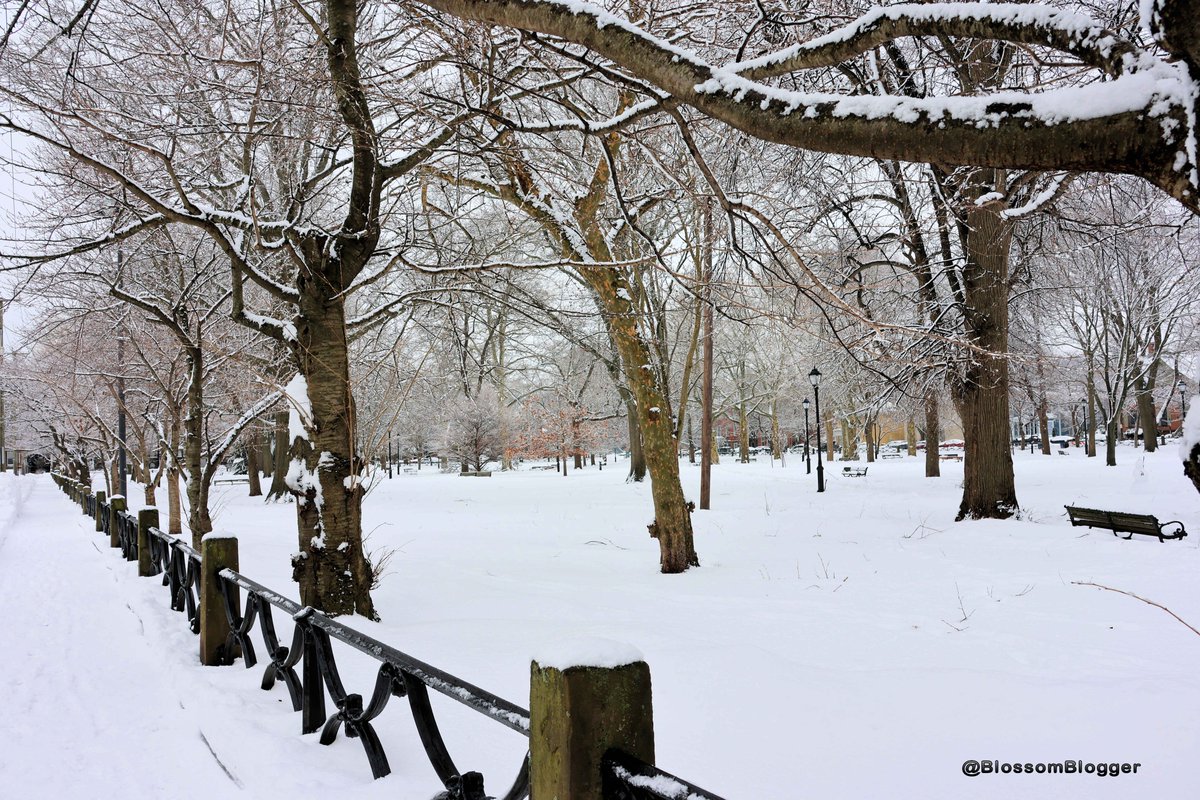 Bart Connors Szczarba tweet media