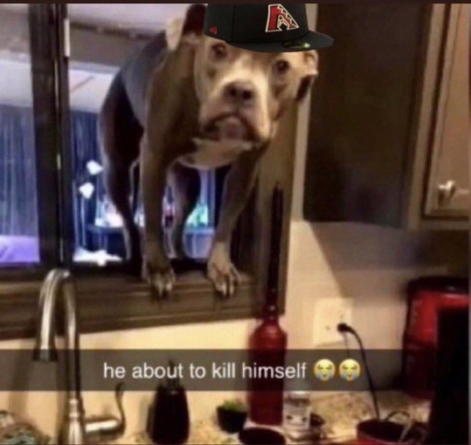 DBacks Dispatch tweet media