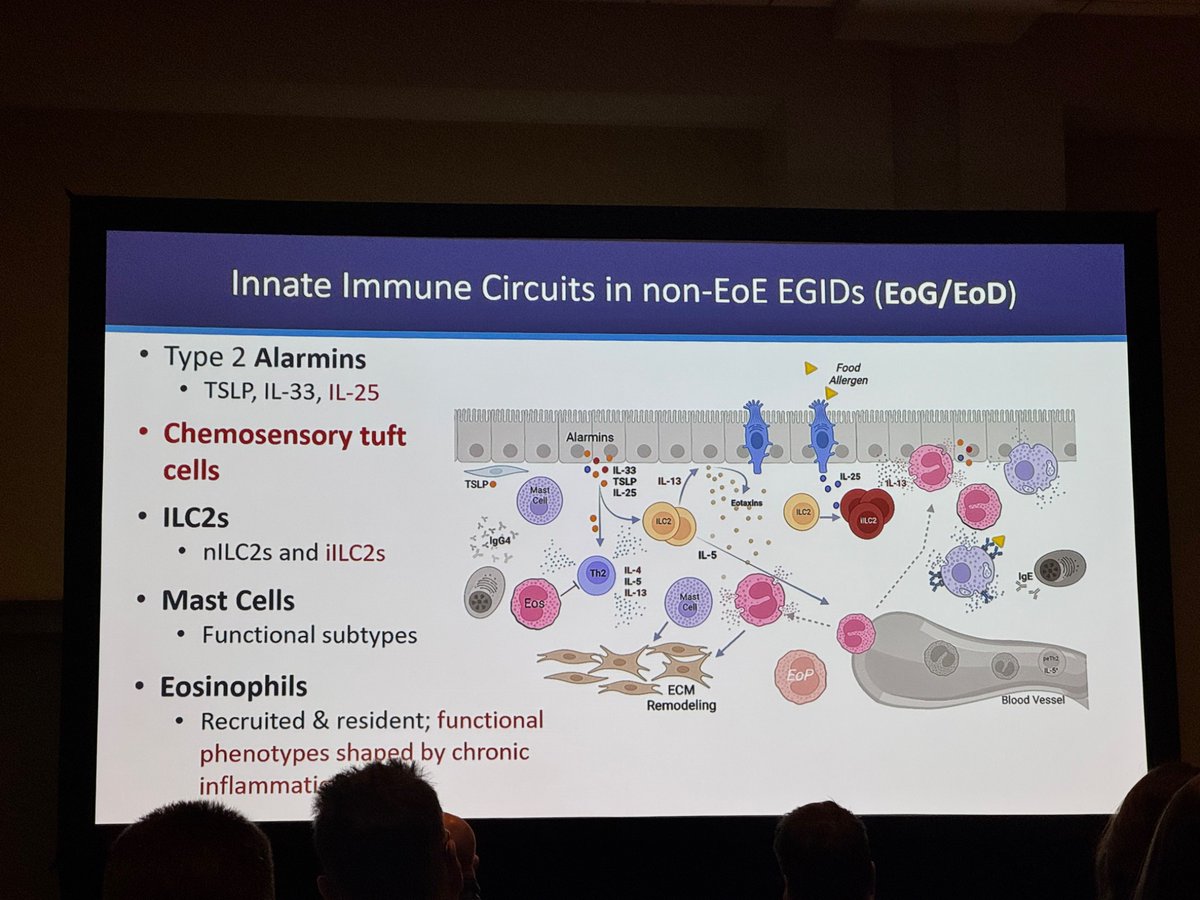 Kristle Lee Lynch, MD | Gastroenterology @ UPenn | tweet media
