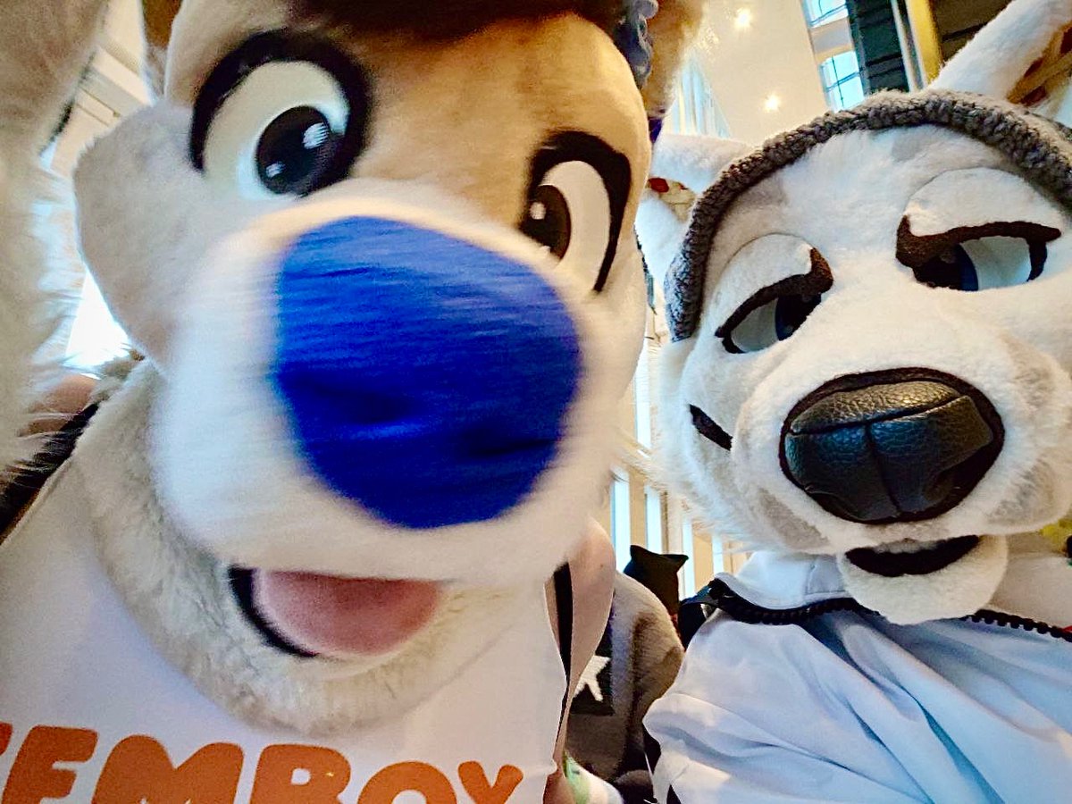 💙TJ Fox💛 🔜 TFF, Furlingame 2026 ∞🌈 tweet media