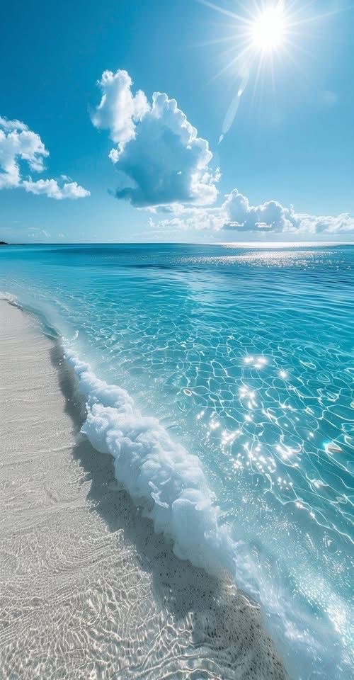 Blue Ocean tweet media
