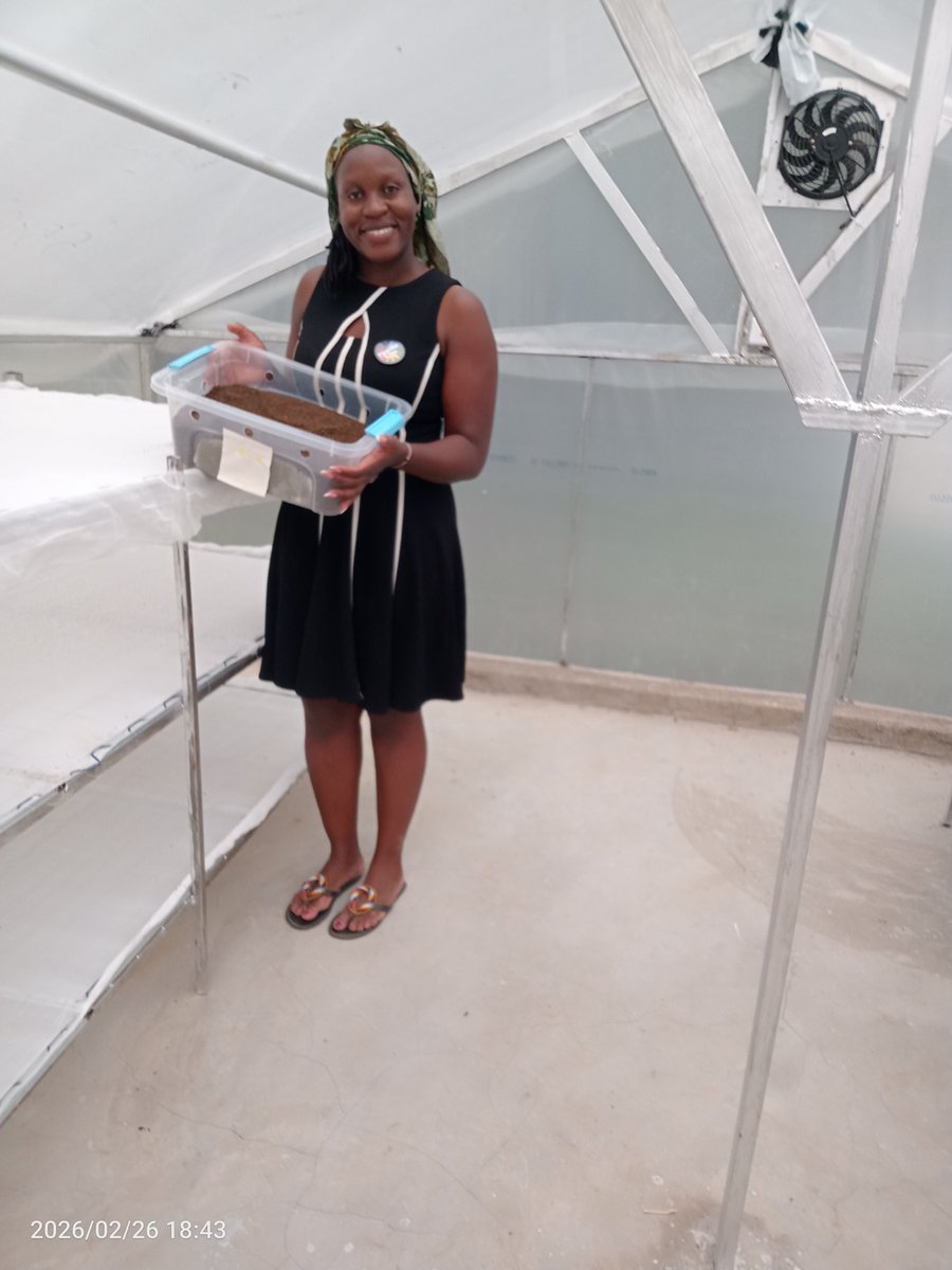 Amb. Atieno Hongo tweet media