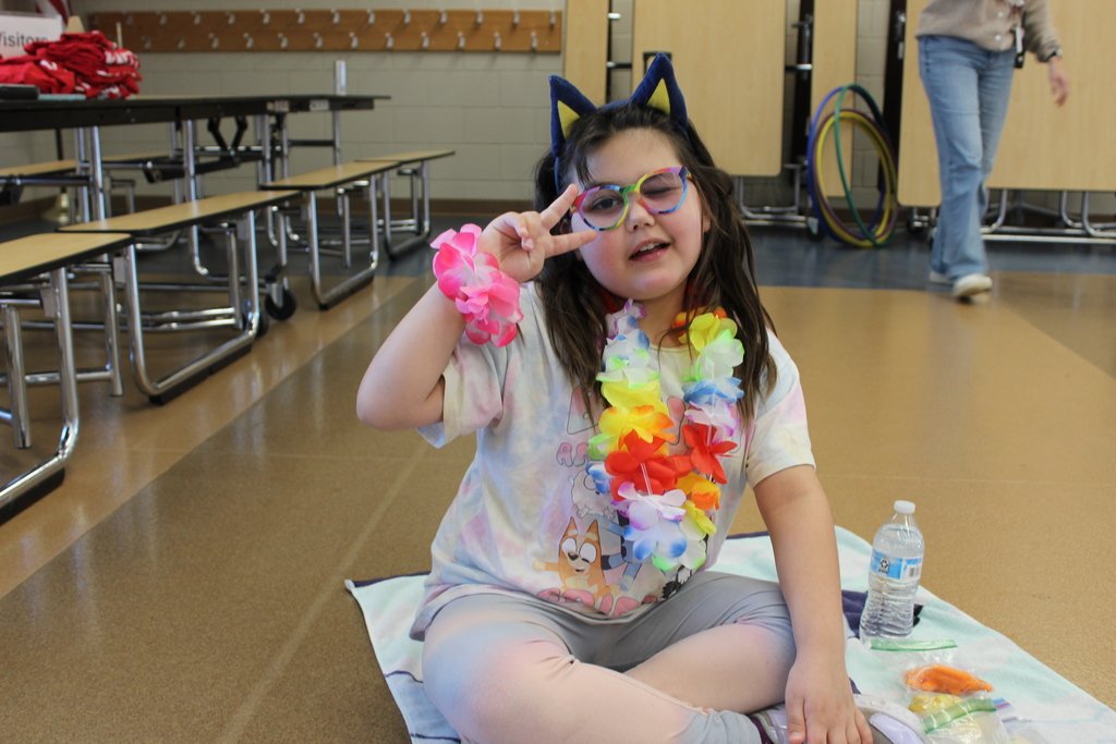 North Branch Area Public Schools tweet media