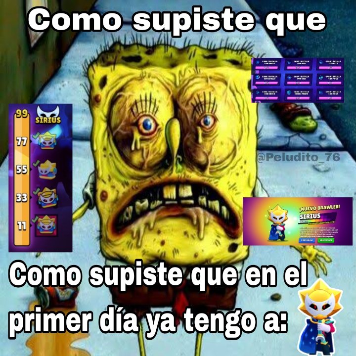 💤 Peludito 76 💤 tweet media